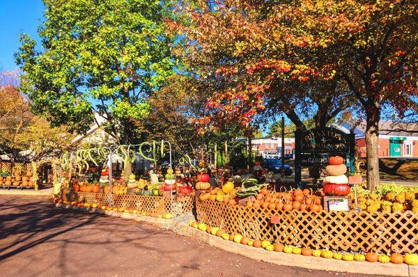 The Garden Shoppe -- fall bling!