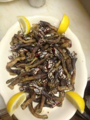 Percebes