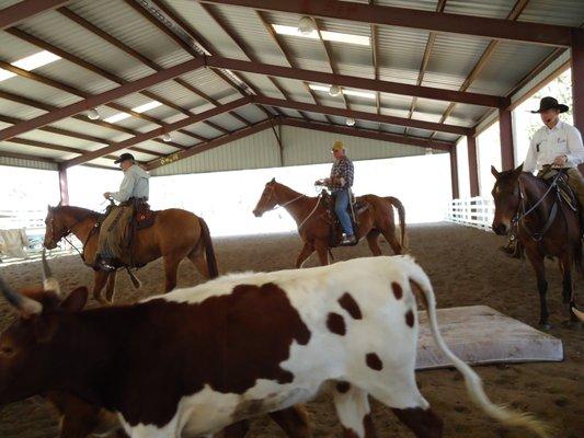 covered arena--we do intro and advanced cow working training