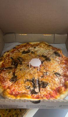 Special 1 Topping - 12"