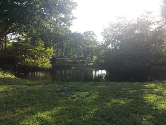 We have a lake that some horses enjoy splashing in.