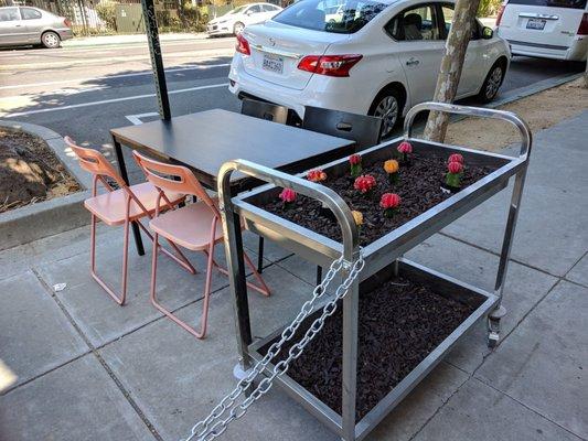 Sidewalk seating and succulents