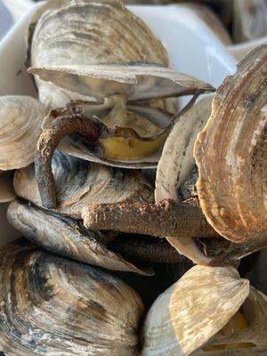 Steamers were dry and gross.   Brokers shells  not clean.