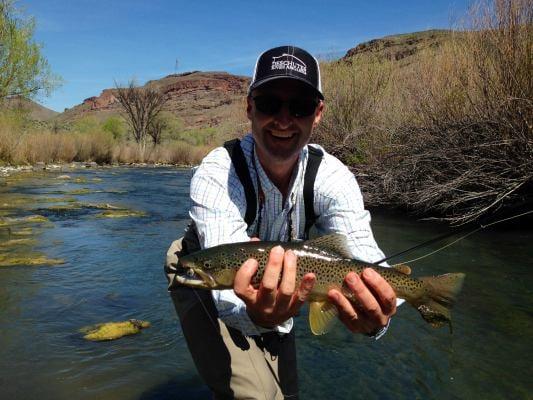 Nice Owyhee Brown Trout