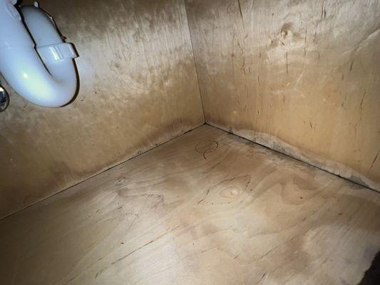 Water damage and mold under the sink