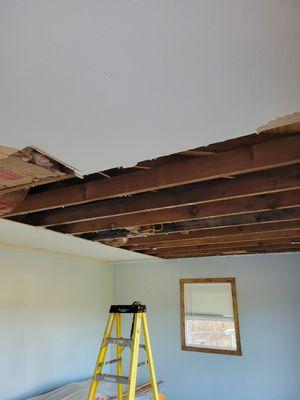 Water damage to ceiling led to mold, took out damaged sheetrock, and insulation.