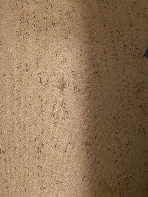 Pet shit stains in the carpet.