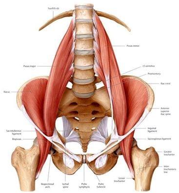 Psoas