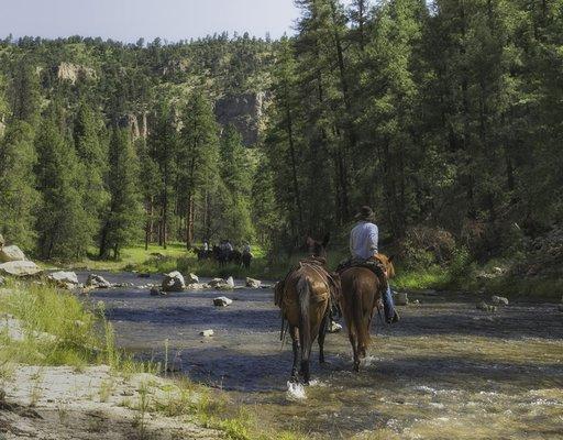 Scenic Middle Fork of the Gila River