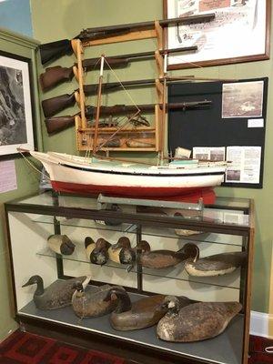 Ducks decoy display