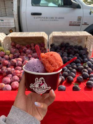 Honey Lavender Blueberry and Strawberry Lemonade Sorbet with fresh fruits sold by Cipponeri Orchards