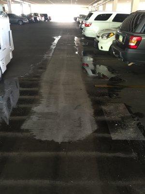 Parking Garage Cleaning