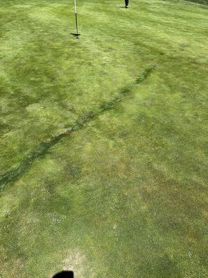 A big indentation runs across the green