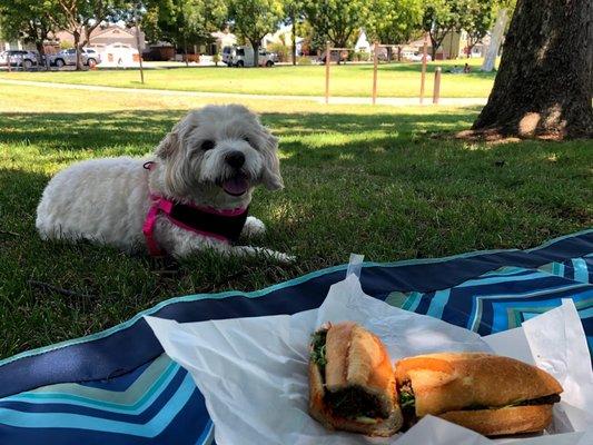 great shaded picnic spot