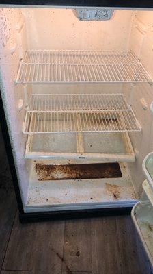 Before picture of refrigerator cleaning-  R1