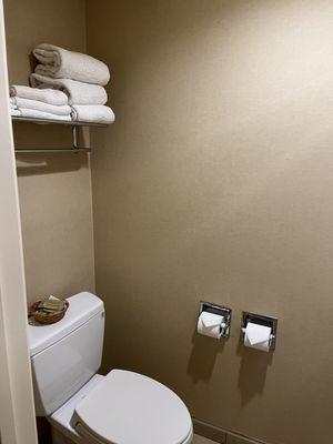 Toilet with detailed TP