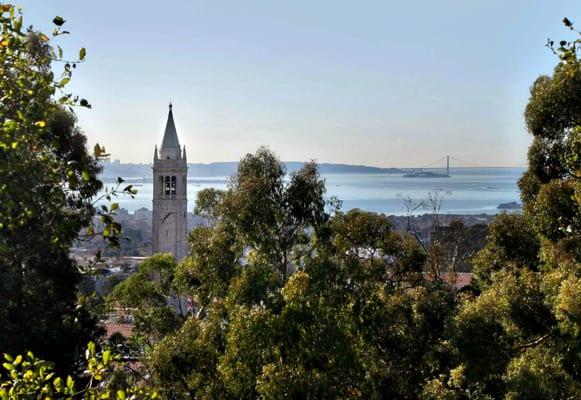 Berkeley Campus.