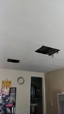 Holes that they refuse to fix after my ceiling damage they directly caused.