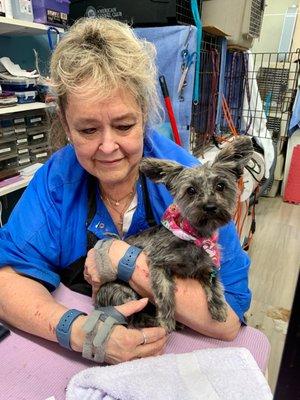 Nugget had about 4 inches taken off. Still sporting that scruffy look. Flo takes her time with each client. #UpCloseSavor