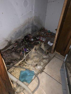 Dishwasher that was never cleaned, where mice were entering