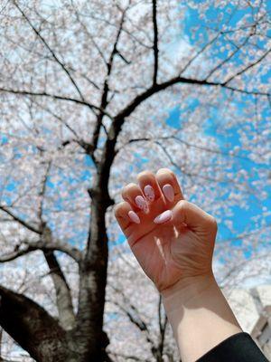 Almond baby pink nails with sakura details, love!