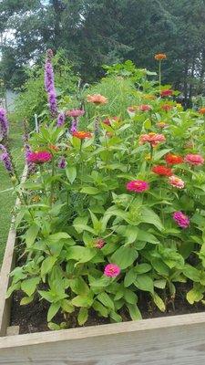 Community garden