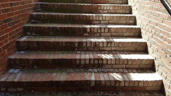 down the steps and across the way in this beautiful courtyard