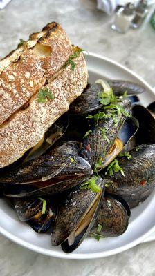 Steamed Pei Mussels