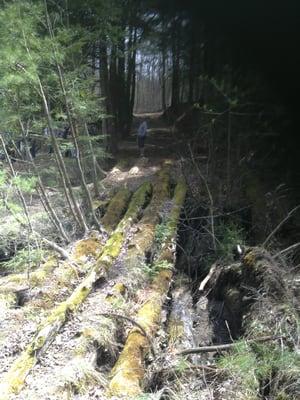 Old log bridge across the creek now replaced by newly constructed bridge.