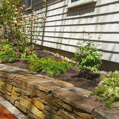 Stone wall install and plantings.