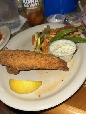 Snapper filet - Fried Fish