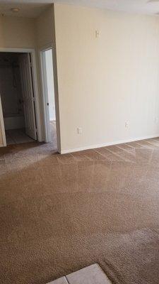 A1 Carpet and Tile Cleaning