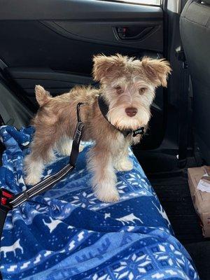 Baby fresh from his haircut!