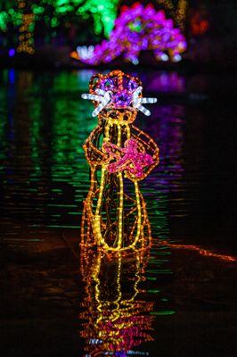 River of Lights at ABQ BioPark & Botanic Garden - Albuquerque, NM