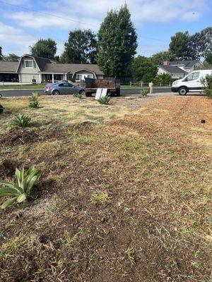 Landscape Renovation-Redoing mulch and adding more plants and adding drip system