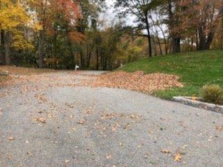 We are on a second week of this pile of leaves put at the roadside of my neighbor's across the street from me blowing in to my yard...