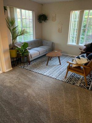 Clean couch and carpet