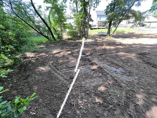 Left of the white line is my neighbors property.