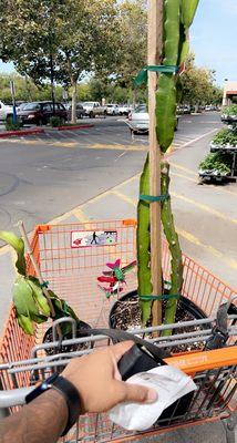 Home Services at the Home Depot