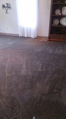 carpet cleaning after