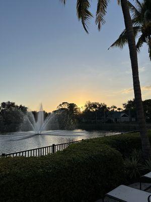 Outside by the pool