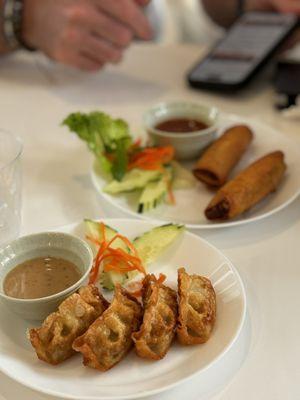 Dumplings and spring rolls