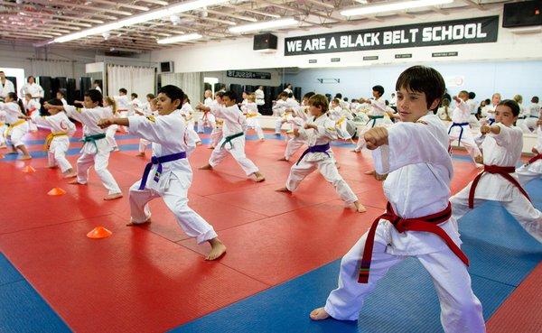 Santa Barbara Dojo