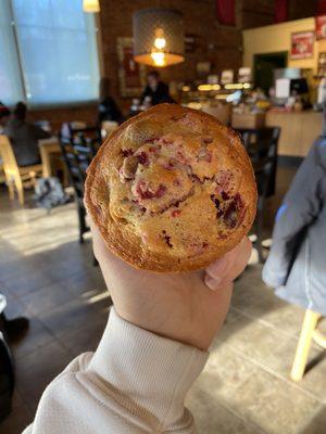 Cranberry muffin