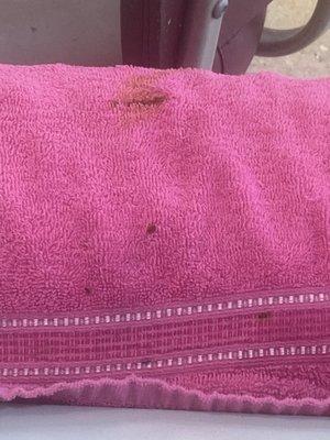 Blood stains on the towel they were going to use on me...