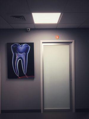 Endodontics of Gaithersburg