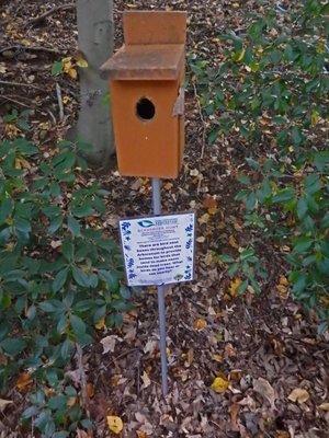 Bird House