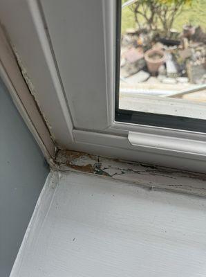 Damage from poor window installation