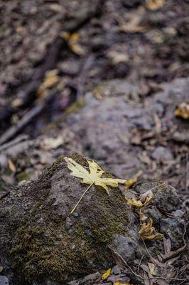 Rancho San Antonio Preserve