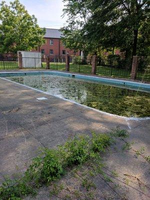 Here is what their pool looks like right now & they advertise they have a pool...